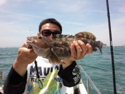 MATSUSHIMA SEANET 釣果