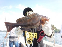 MATSUSHIMA SEANET 釣果