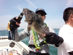 MATSUSHIMA SEANET 釣果