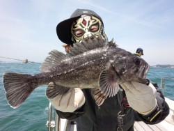 MATSUSHIMA SEANET 釣果