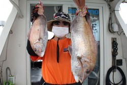 松本釣船２ 釣果