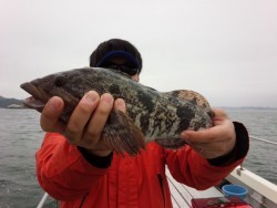 MATSUSHIMA SEANET 釣果