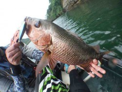 ローカルフィッシング 西表 マリンボックス 釣果