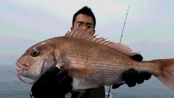 つれ鷹丸 釣果