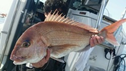 ディープ オーシャン 釣果