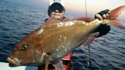 ディープ オーシャン 釣果