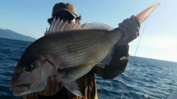 ディープ オーシャン 釣果