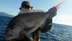 ディープ オーシャン 釣果