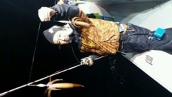 ディープ オーシャン 釣果