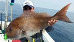 ディープ オーシャン 釣果