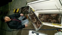 ディープ オーシャン 釣果