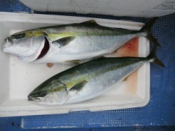 ＢＩＧ－ＯＮＥ 釣果