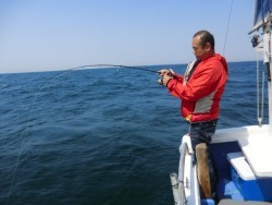 ＢＩＧ－ＯＮＥ 釣果