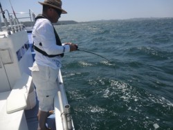 ＢＩＧ－ＯＮＥ 釣果