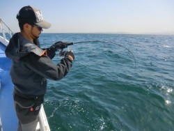 ＢＩＧ－ＯＮＥ 釣果