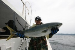 オーシャンズ 釣果