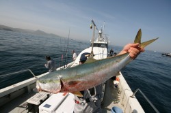 オーシャンズ 釣果