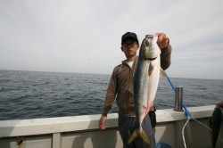 オーシャンズ 釣果