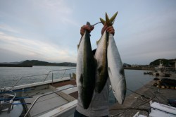 オーシャンズ 釣果