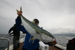 オーシャンズ 釣果