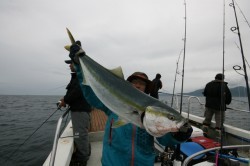 オーシャンズ 釣果