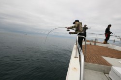 オーシャンズ 釣果