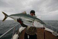 オーシャンズ 釣果
