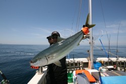 オーシャンズ 釣果