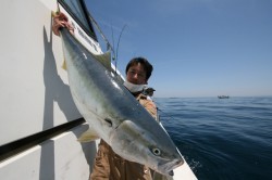 オーシャンズ 釣果