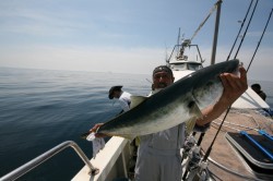 オーシャンズ 釣果