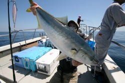 オーシャンズ 釣果