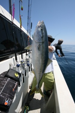 オーシャンズ 釣果
