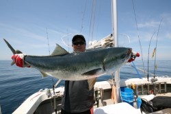 オーシャンズ 釣果