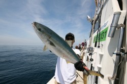 オーシャンズ 釣果