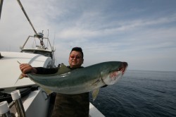 オーシャンズ 釣果