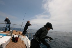 オーシャンズ 釣果