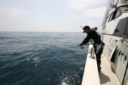 オーシャンズ 釣果