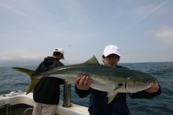 オーシャンズ 釣果