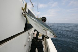 オーシャンズ 釣果