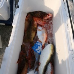 オーシャンズ 釣果