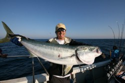 オーシャンズ 釣果