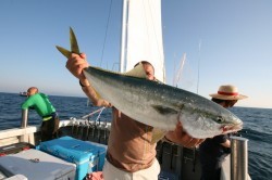 オーシャンズ 釣果