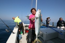 オーシャンズ 釣果