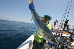 オーシャンズ 釣果