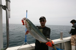 オーシャンズ 釣果