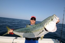 オーシャンズ 釣果