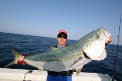 オーシャンズ 釣果