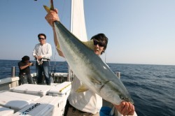 オーシャンズ 釣果