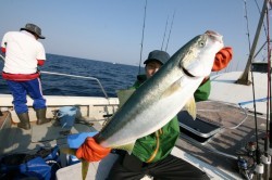 オーシャンズ 釣果