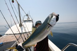 オーシャンズ 釣果